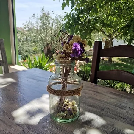Lameira Da Longra - Bohemian Artistic House & Coliving * Tomar