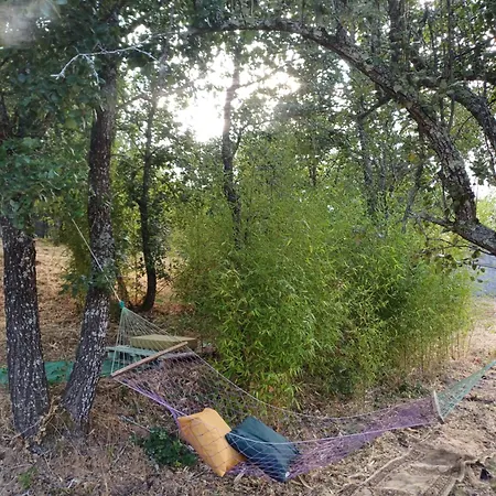 Lameira Da Longra - Wellness Retreat Tomar