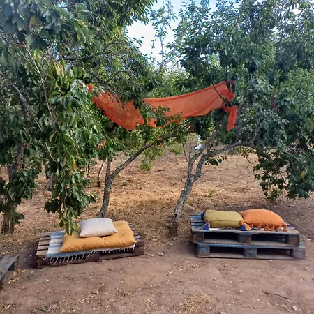 Lameira Da Longra - Art & Wellness Retreat