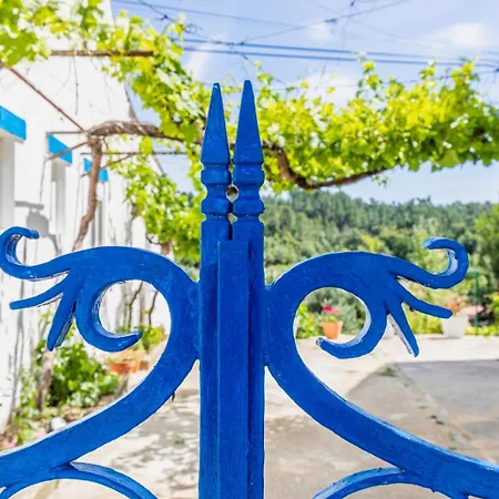 Lameira Da Longra - Art & Wellness Retreat